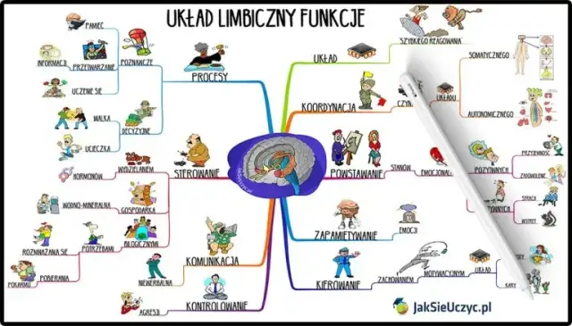 Jak wyjść z nałogu? Kompleksowy przewodnik i wsparcie