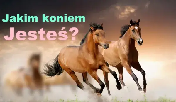 Quiz: Jakim koniem jesteś? Odkryj swój temperament!