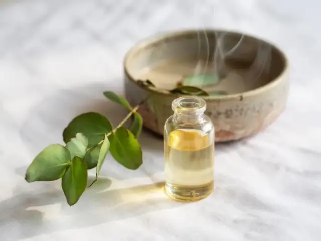 Ile kropli olejku eukaliptusowego do inhalatora? Bezpieczne dawkowanie