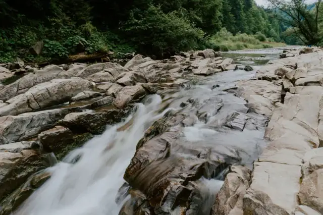 Rezerwat przyrody Sine Wiry – odkryj jego niezwykłe piękno i atrakcje