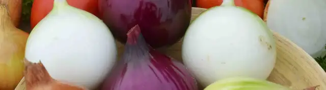 Jak uprawiać cebulę: proste metody i najczęstsze błędy do uniknięcia