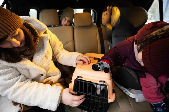 Transporter dla szczura: Jak wybrać bezpieczny i komfortowy?