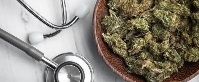 Medyczna marihuana na co pomaga? Sprawdź jej skuteczne zastosowania