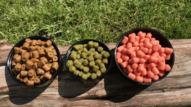 Jak złowić lina na spławik - skuteczne techniki i przynęty na ryby