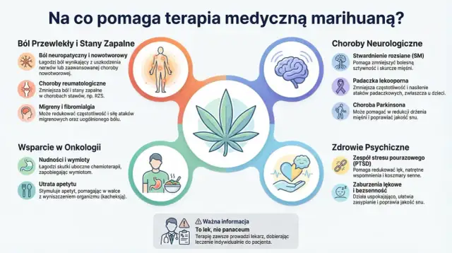 Medyczna marihuana: Na co pomaga? Sprawdź, czy to dla Ciebie!
