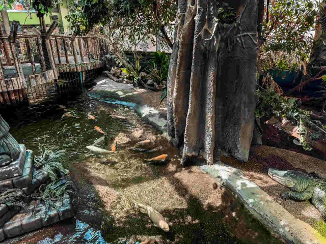 Tropicarium w Budapeszcie - Niezapomniane atrakcje i ceny biletów