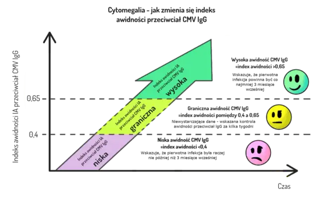 Cytomegalia - kiedy zrobić badanie w ciąży, aby chronić zdrowie?