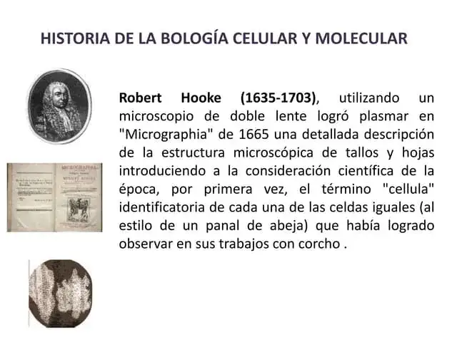 ¿Quién descubrió la biología molecular y por qué es tan relevante?