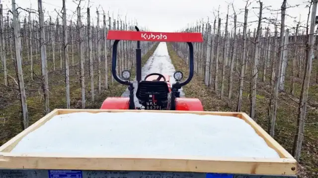 Kiedy siać nawozy, aby uniknąć błędów i zwiększyć plony?