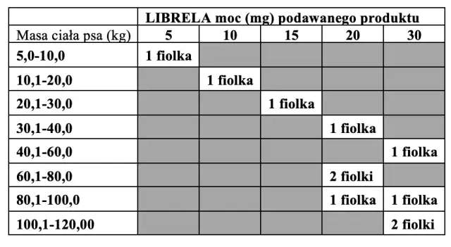 Librela dla psa: Jak długo stosować? Kiedy efekty i co dalej?