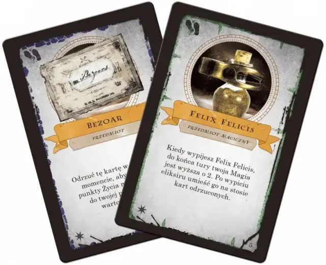 Talisman Harry Potter recenzja: co musisz wiedzieć przed zakupem