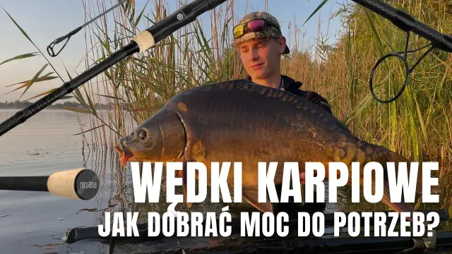 Co oznacza lbs na wędce i jak wpływa na wybór sprzętu wędkarskiego