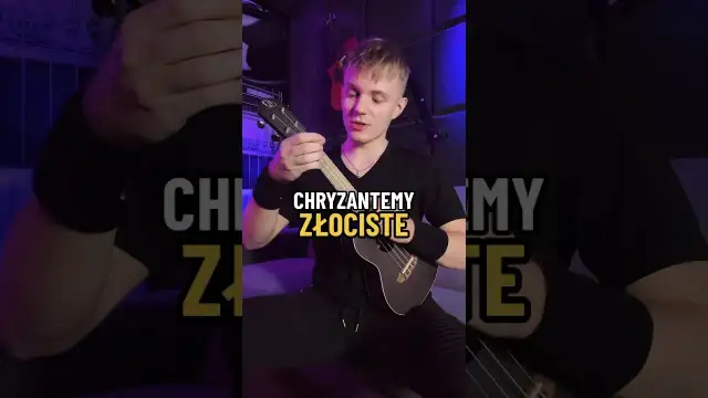 Chryzantemy złociste chwyty gitarowe - zagraj je bez błędów