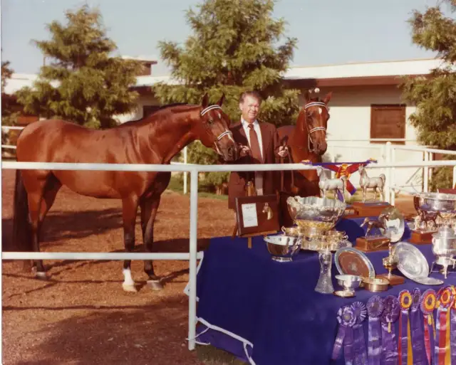 Stadnina koni Polska: Historia, osiągnięcia i tajemnice Michałowa