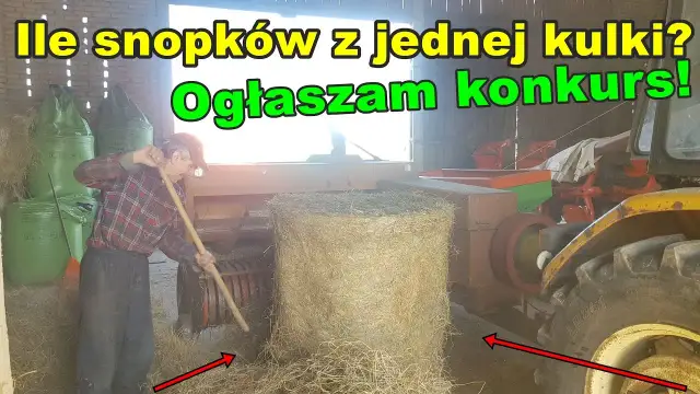 Ile kostek siana jest w balocie? Zaskakujące fakty i różnice