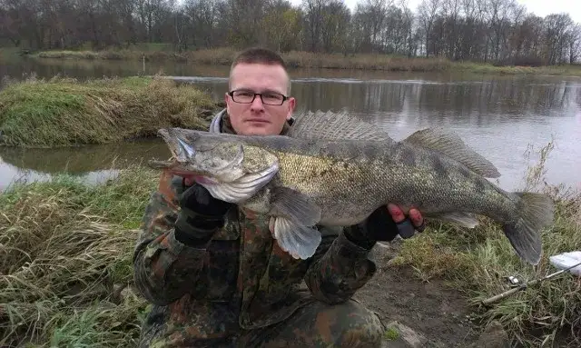 Zalew Karczunek: piękne zdjęcia łowiska i ryb, które musisz zobaczyć