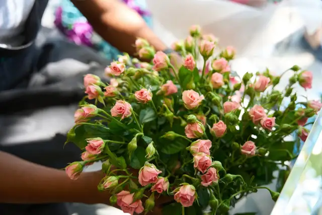 Jakie kwiaty na urodziny? Wybierz idealny bukiet dla bliskiej osoby