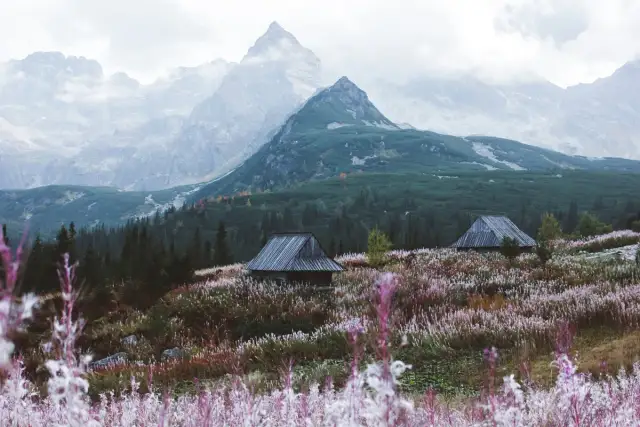 Zakopane czy Bukowina Tatrzańska – gdzie warto spędzić urlop?