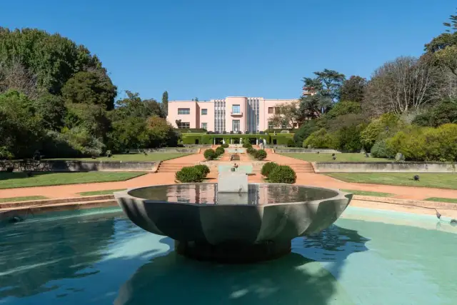 Muzeum Sztuki Współczesnej Serralves Porto – co warto wiedzieć przed wizytą?