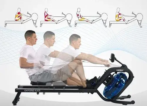 Wioślarz: 85% mięśni! Jak trenować, by zaangażować całe ciało?