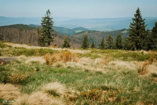 Poręba Wielka: Atrakcje Gorców na każdą porę roku. Zaplanuj urlop!