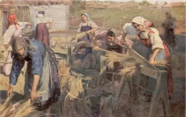 Jak pozyskiwano len i wełnę w średniowieczu – tajemnice upraw i hodowli