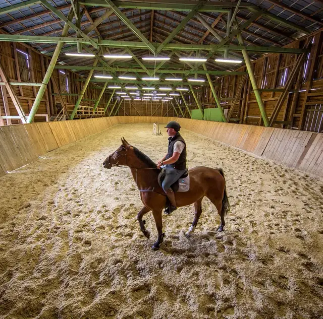 Stadnina koni Galiny - historia, hodowla i zajęcia jeździeckie