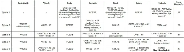 Kompletny plan na 10 km: przygotuj się do biegu krok po kroku