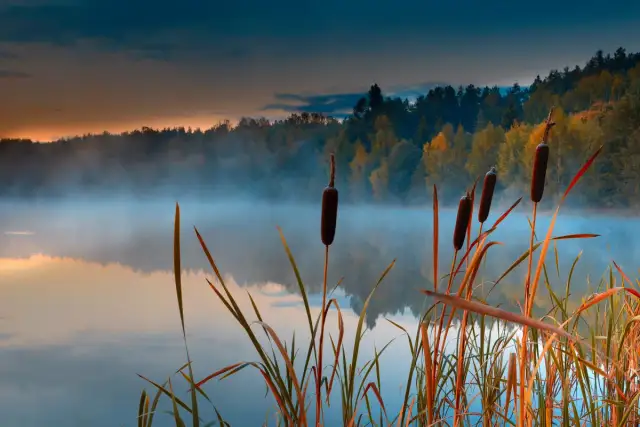 Jezioro Radgoskie - idealne miejsce na wypoczynek i relaks