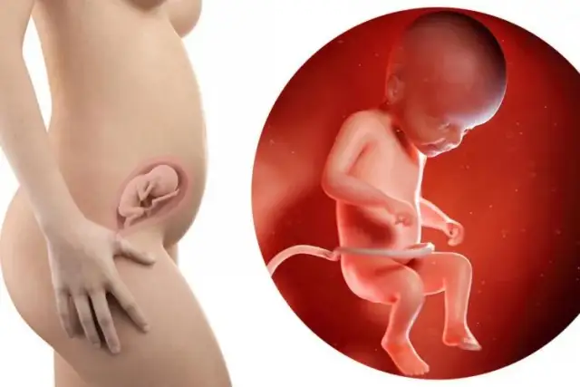 W którym tygodniu czuć ruchy dziecka? Oto, co musisz wiedzieć