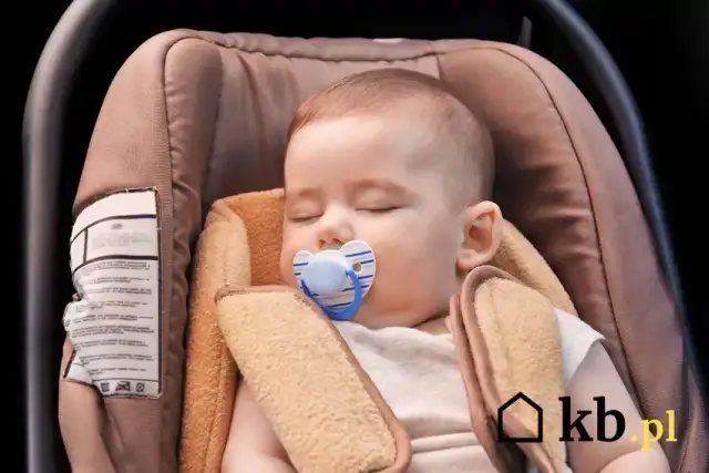 Przewóz dziecka w autokarze: fotelik, pasy, przepisy. Fakt czy mit?