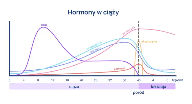 Progesteron po owulacji: Klucz do ciąży? Zrozum swoje wyniki