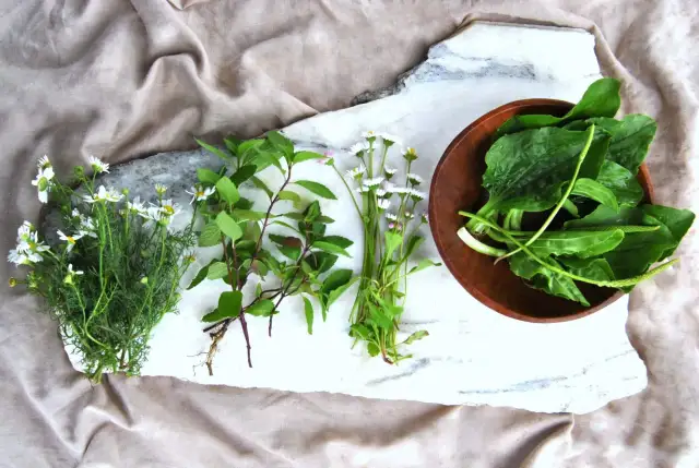 Chwast jadalny: odkryj zdrowe rośliny, które możesz jeść codziennie