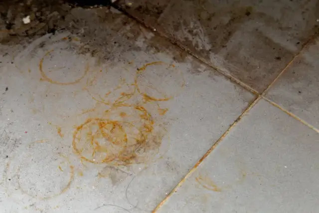 Czyszczenie kamienia dekoracyjnego: Jak bezpiecznie usunąć plamy?