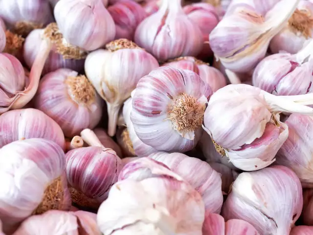 Stos świeżych główek czosnku chińskiego, z fioletowymi żyłkami na białych łuskach, gotowych do dodania smaku potrawom.