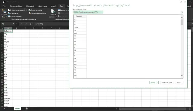 Jak włączyć polskie znaki w Excelu: Poradnik dla każdego