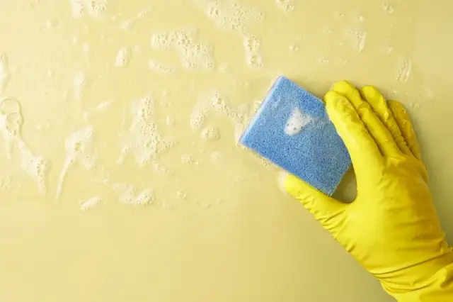 Tłuste plamy na ścianach kuchni? Pozbądź się ich raz na zawsze!