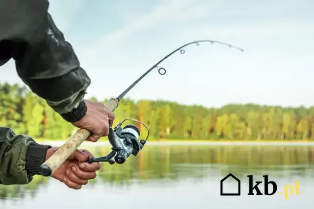 Wędkowanie bez karty: mandat, przepadek sprzętu. Co musisz wiedzieć?