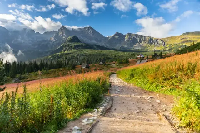 Gdzie w góry w sierpniu? Odkryj najpiękniejsze miejsca w Tatrach