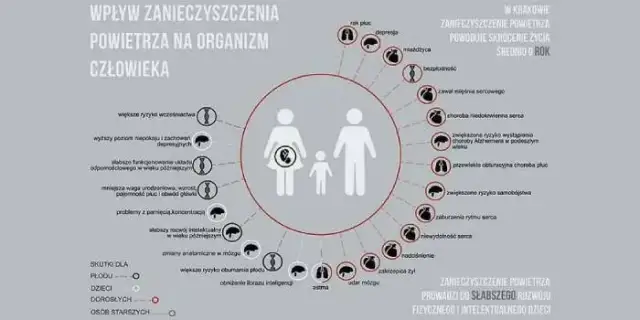 Jakie są skutki zanieczyszczeń? Szokujące efekty dla zdrowia i środowiska