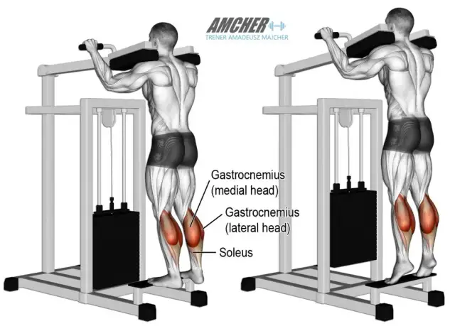Łydki wreszcie urosną! Skuteczny trening, ćwiczenia i plan na wzrost