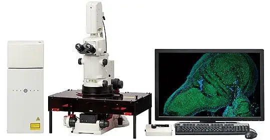 Mikroskop fluorescencyjny do czego służy? Odkryj jego zastosowania w nauce