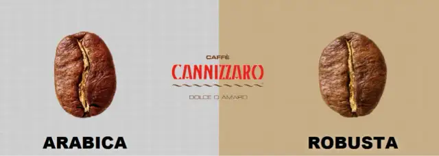 Która kawa lepsza: arabica czy robusta? Poznaj różnice i wybór