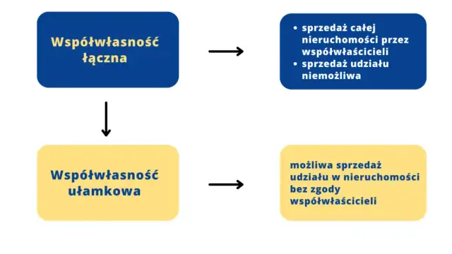 Udział w nieruchomości: prawa, obowiązki i zniesienie współwłasności