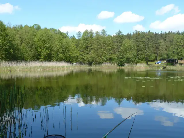 Spokojne jezioro z odbijającymi się chmurami i lasem, widoczna wędka i trzciny.