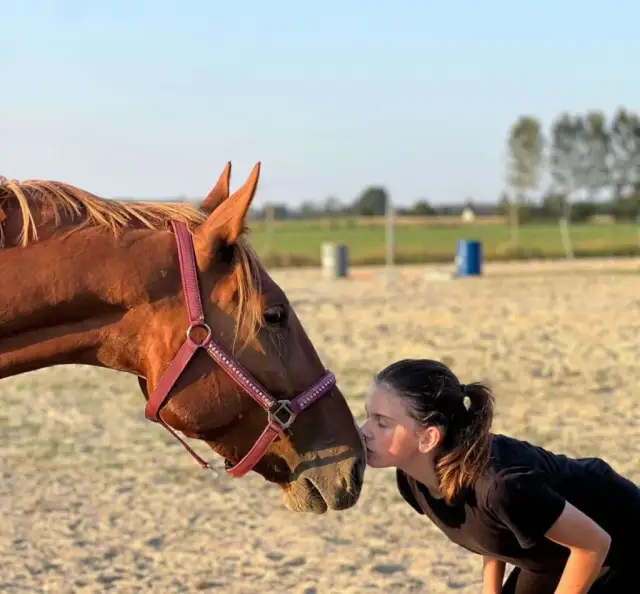 Praca jako instruktor jeździectwa: wymagania, obowiązki i zarobki