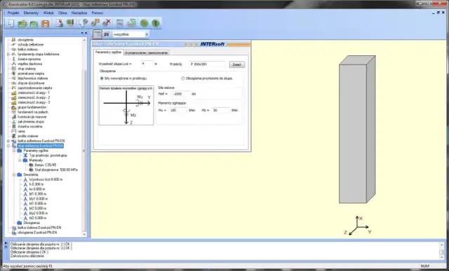Symulacja zbrojenia słupów żelbetowych w programie Intersort. Okno z parametrami obciążeń i wymiarowania.