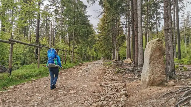 Najłatwiejsze szlaki zejścia ze Szrenicy - uniknij trudności wędrówki
