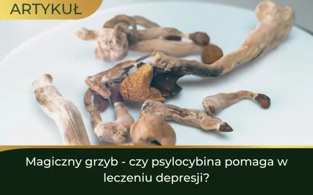 Psylocybina na depresję: nadzieja, badania, ryzyko i prawo w Polsce