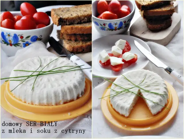 Jak zrobić biały ser z przyprawami – prosty przepis i najlepsze porady